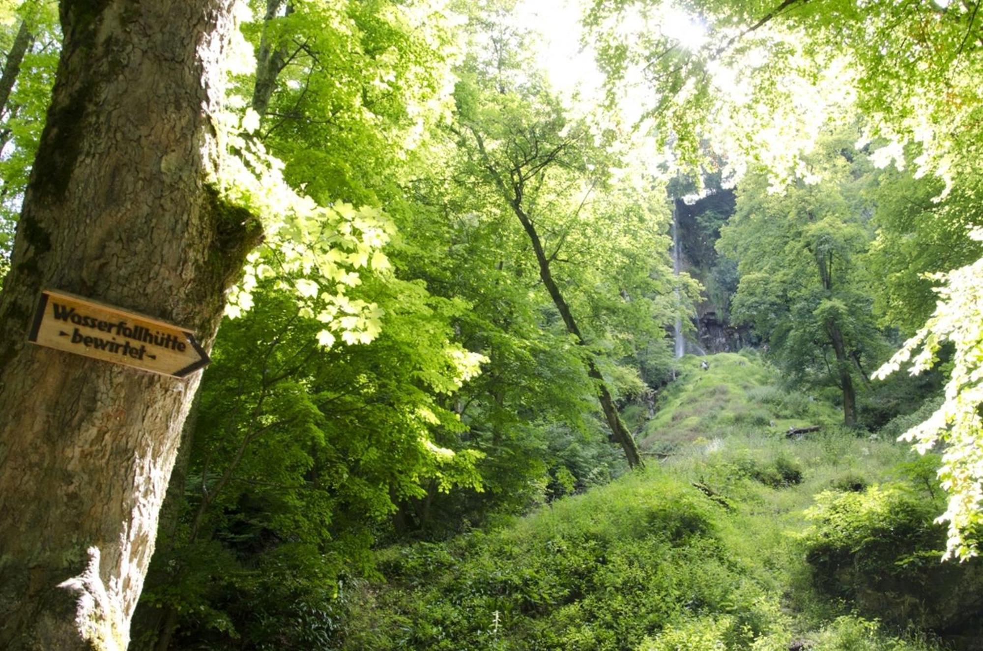 Hof Am Horn - Fewos In Der Natur Laichingen Exterior foto